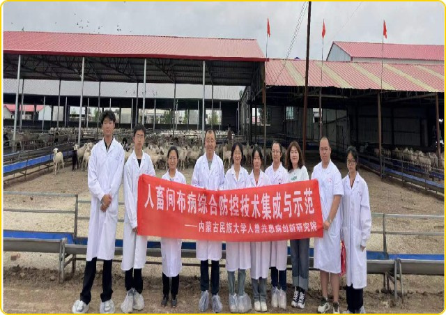 2 锡林郭勒盟养殖场开展技术服务_副本.jpg 2 锡林郭勒盟养殖场开展技术服务_副本.jpg